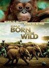Born to be Wild - Now Playing on Demand