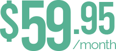 500 MBPS for 59.95