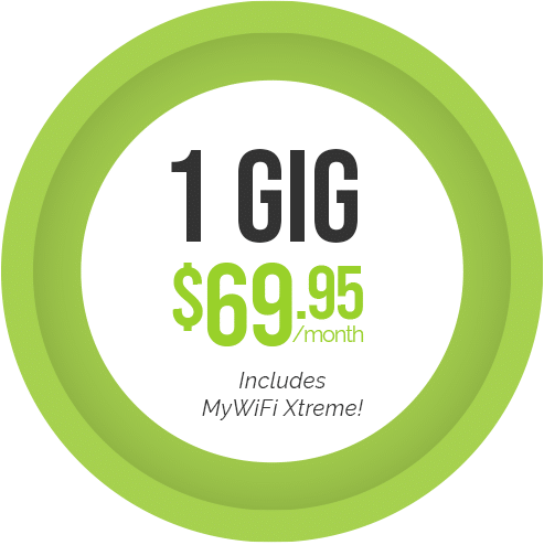 High-Speed Fiber Internet