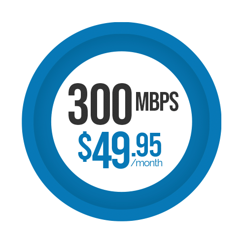 High-Speed Fiber Internet