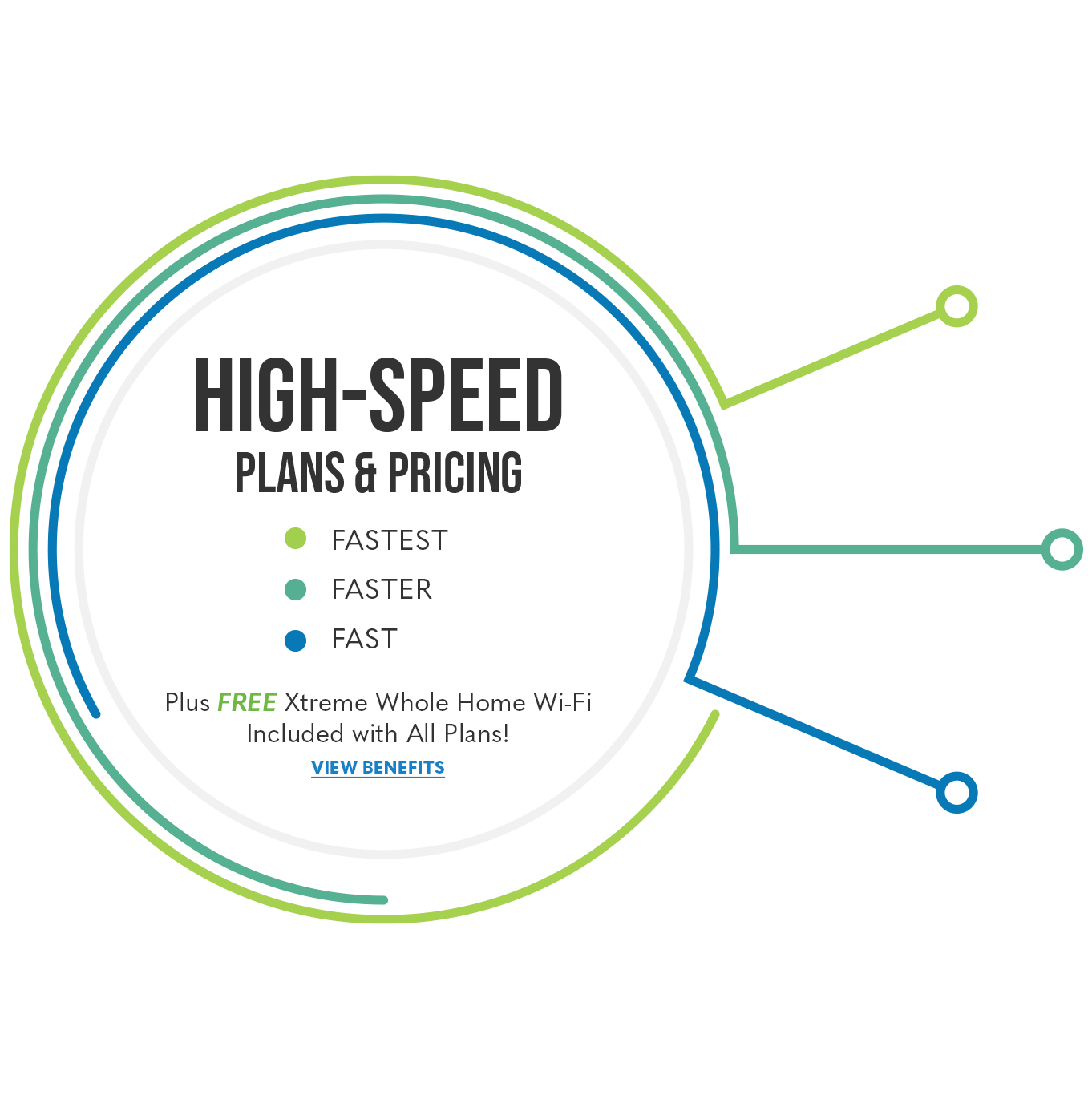 High-Speed Fiber Internet