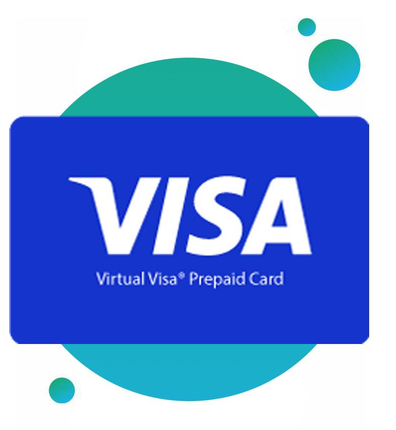 visa card
