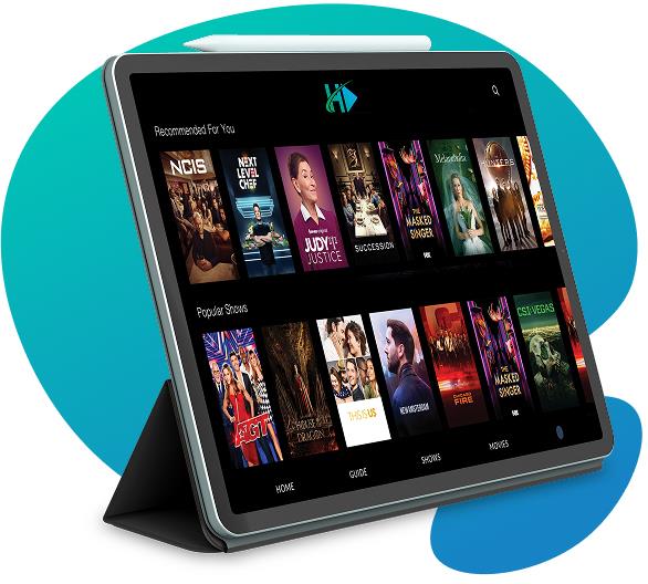 HOMESTREAM TV