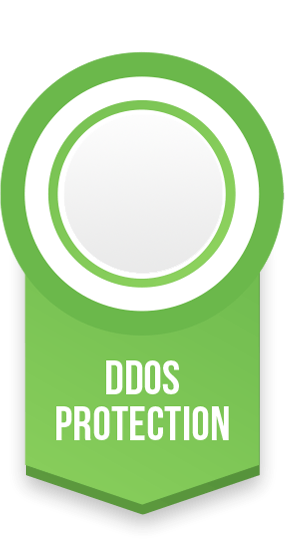 DDos Protection