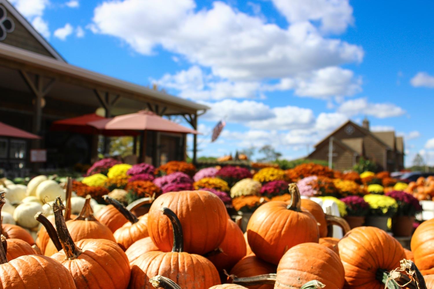 charleston fall events lowcountry