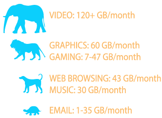 The difference gigabit speed