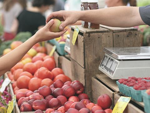 June Welcomes South Carolina’s Abundant Farmers Markets